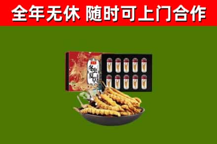龙里烟酒回收冬虫夏草礼盒.jpg